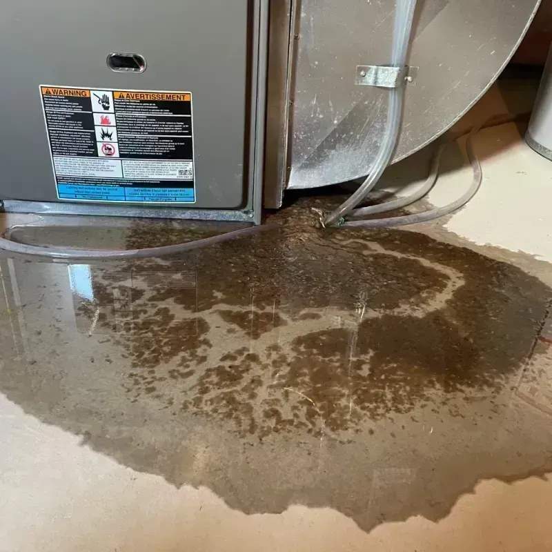 Appliance Leak Cleanup in Sultan, WA